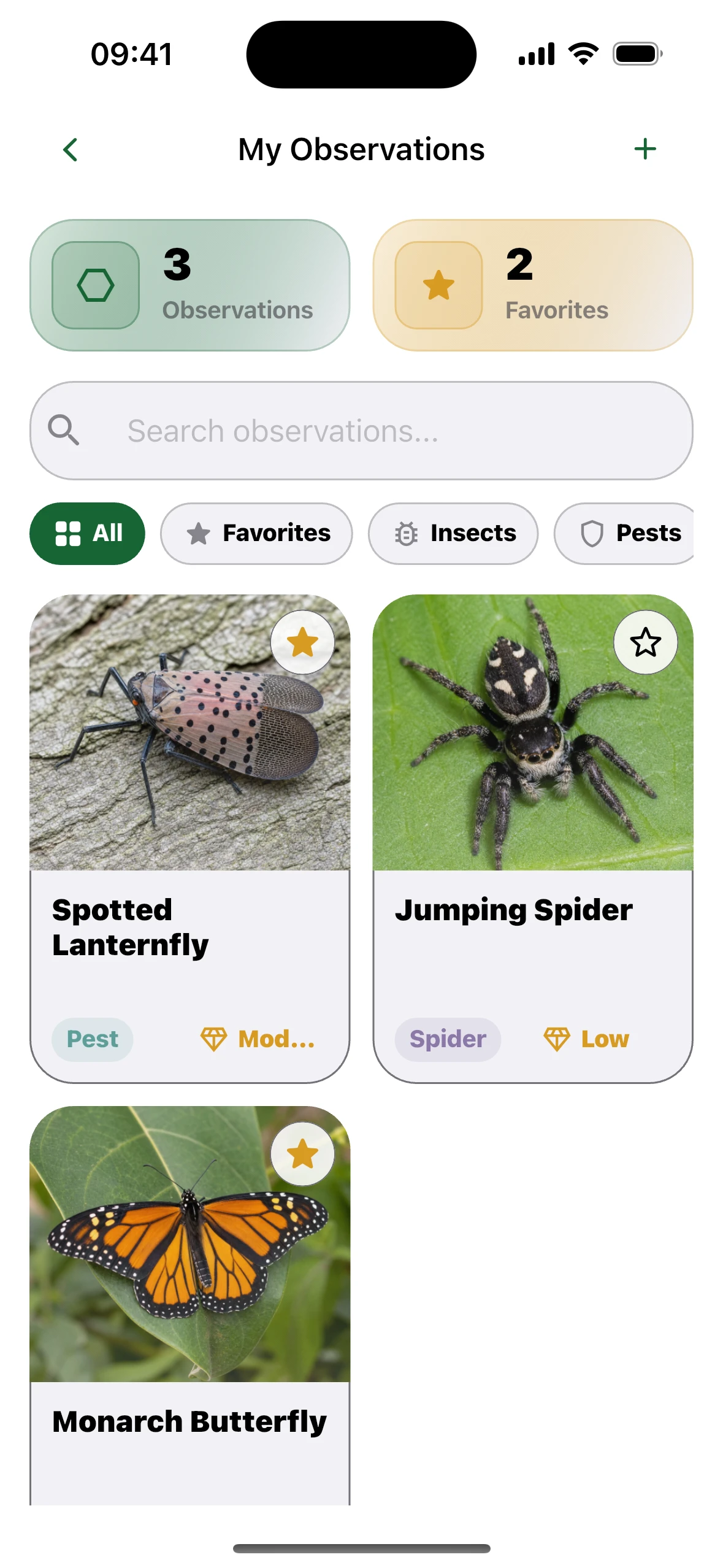 Collection – Insect Identifier iPhone screen