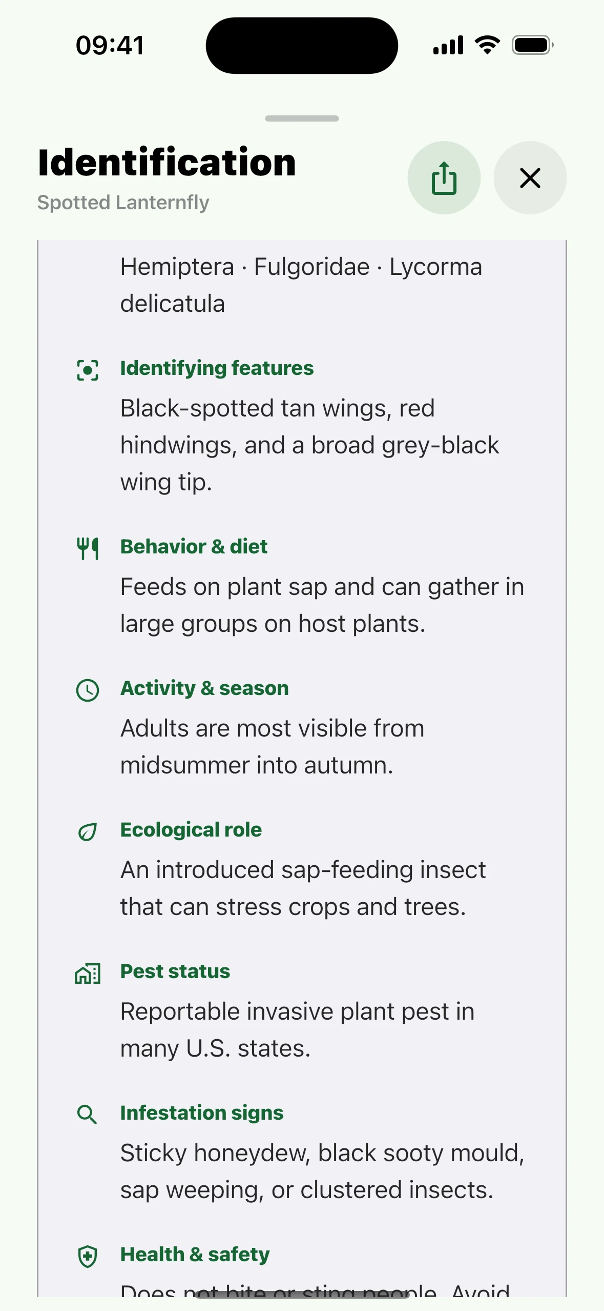 Insights – Insect Identifier iPhone screen