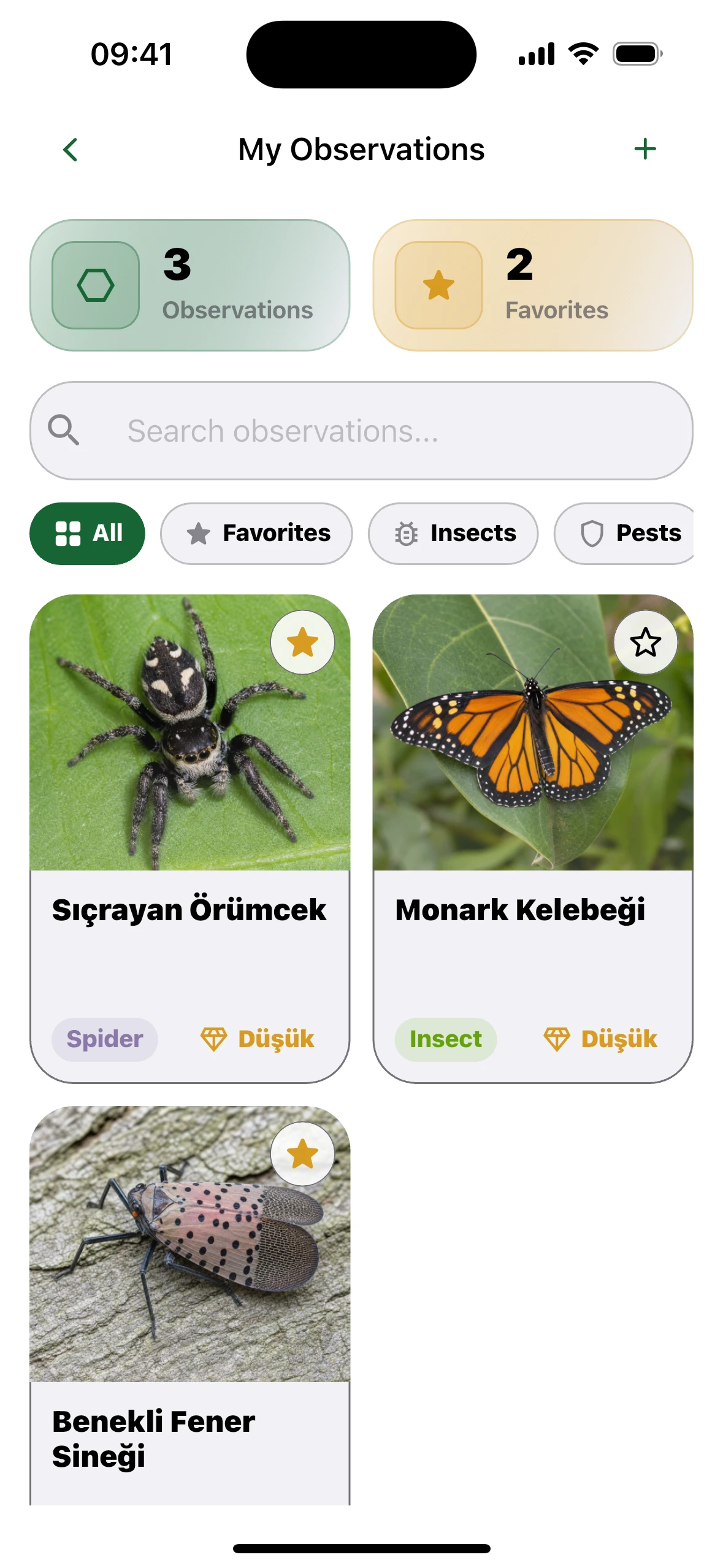 Koleksiyon – Insect Identifier iPhone ekranı
