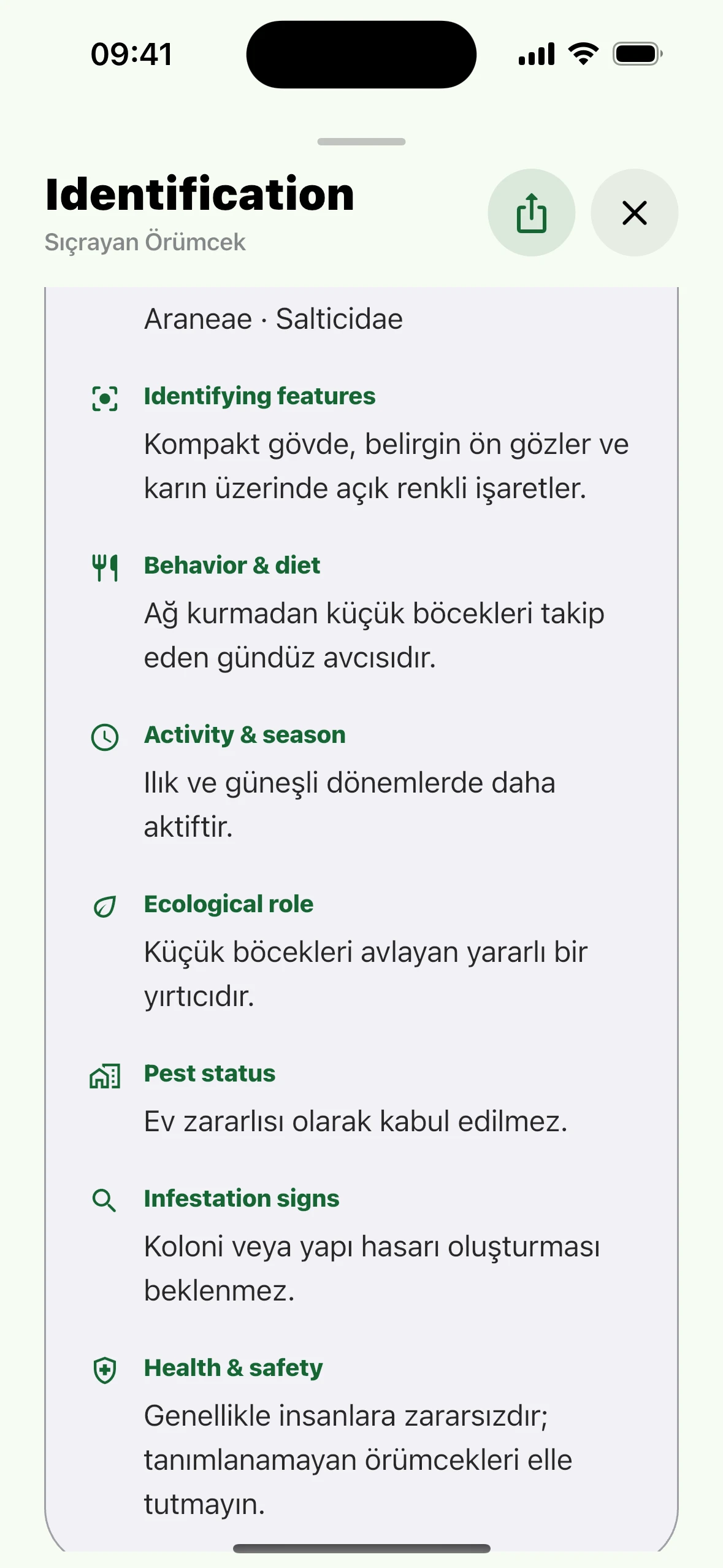 Detaylar – Insect Identifier iPhone ekranı